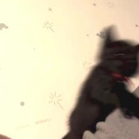 落ちる子猫