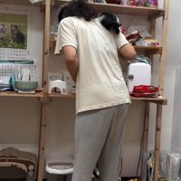 人間に登る子猫たち