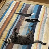 ビリビリに破られたマット