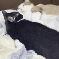 手をつないだ姿