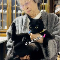 人に抱かれている猫