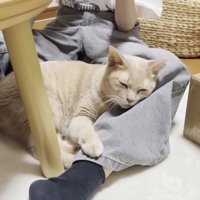 足に密着