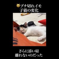 さらに添い寝