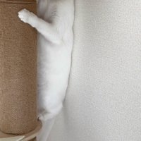 体は丸見え