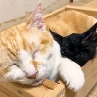 眠るふたり