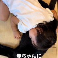 赤ちゃんに乗られている猫