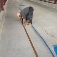 男性の下に入る子猫