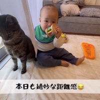 近づいていった赤ちゃん