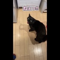 ねぇっ！！