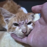 手に顎を乗せて