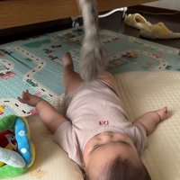 動かす猫