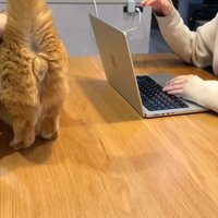 プリンくんの後ろ姿