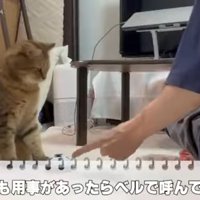 どうしても用事があったら