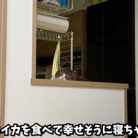 テロップ「好きなスイカを～」
