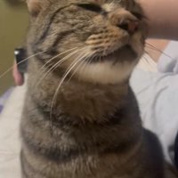 首筋に当ててもらう凛太郎くん