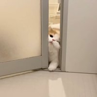顔をねじ込み