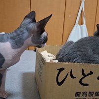 背を向けて