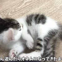 眠くなってきた坊ちゃん