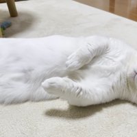 ひとり寝