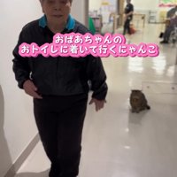歩く人と座る猫