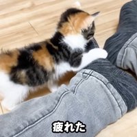 疲れた