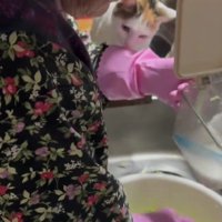 調理中のおばあちゃんと猫