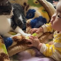 顔を上げているうつ伏せの赤ちゃんのそばにいる猫