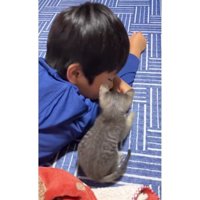男の子と猫