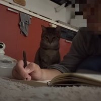 隣にお座り