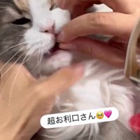 飲み薬を持っている人と抱かれている猫