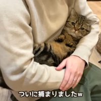 ついに捕まりました