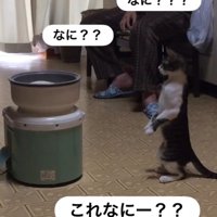 「なに？」と四回書かれた写真