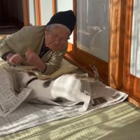 スライディングする猫