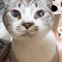 リノちゃんのアップ