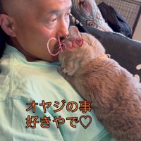 飼い主の上半身の上で伏せをしてキスをされている猫
