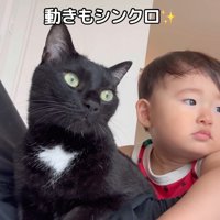 動きもシンクロ