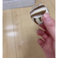 ボールを手に持つ手