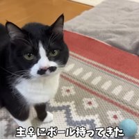 ボール持ってきた