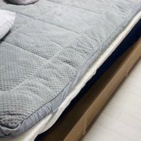 ベッドの上で鳴く子猫