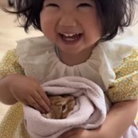 子猫を抱っこしながらカメラ目線で笑っている子供