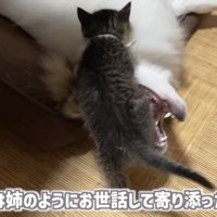 「時には...」のテロップ写真