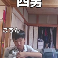 宿題をしている男の子と猫