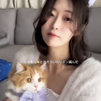 リボンを付けてママに抱っこされるミヌエット