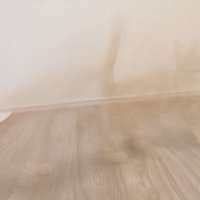 猫の残像（アップ）