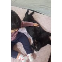 女の子と黒猫