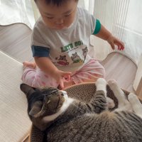 猫の顔に手を近づける赤ちゃん