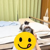 ベッドの上で飼い主さんの髪にじゃれつく子猫とスマホを見る飼い主