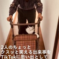 おばあちゃんとカートに乗る猫