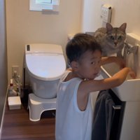 やっちまった顔