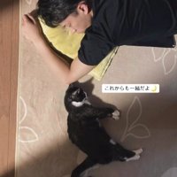 一緒に寝る男性と猫